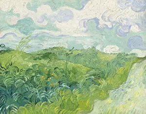 Auvers: Green Wheat Fields
