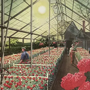 Husbandry: Greenhouse filled with Flowers