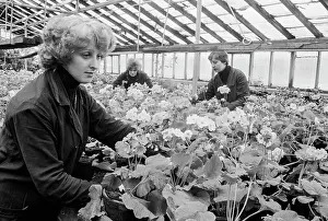 Khukhlayev: Greenhouse of First State Bearing Plant