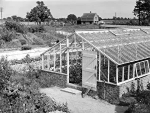 Greenhouses: GREENHOUSE/FOX ASH