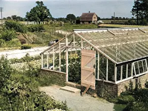 Greenhouses: GREENHOUSE/FOX ASH
