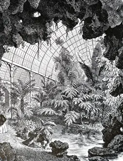Glasshouse: Greenhouse in the garden of the Acclimatisation