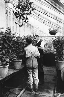 Hothouse: Greenhouse at Grendon Underwood Open Prison