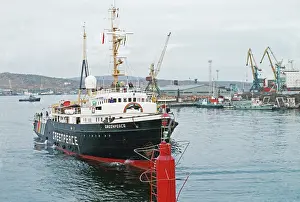 Greenpeace: Greenpeace ship in Kola Bay