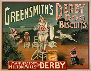 Greensmith: Greensmith's Derby Dog Biscuits
