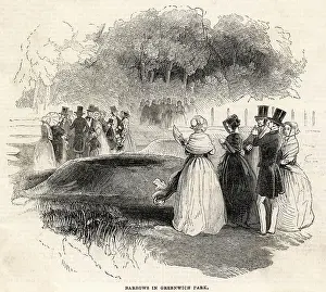Barrows: GREENWICH PARK/BARROWS