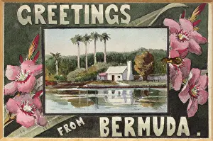 Bermudan: Greetings from Bermuda