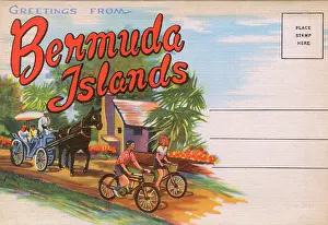 Bermudan: Greetings from Bermuda Islands