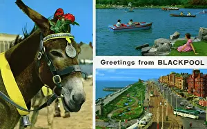 Jan24: Greetings from Blackpool postcard