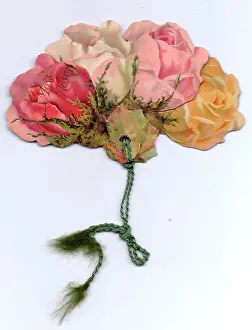 Cutouts: Greetings card, Moss Roses