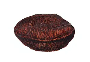 Almonds: Greetings card in the shape of an almond