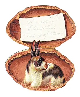 Almonds: Greetings card in the shape of an almond
