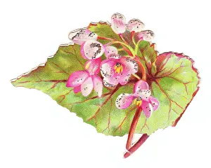 Sparkly: Greetings card in the shape of a green leaf with flowers