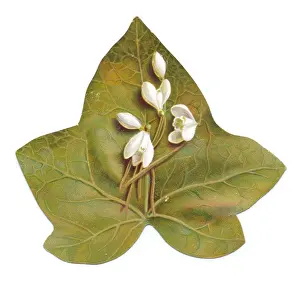 Greetings card in the shape of a green leaf with snowdrops