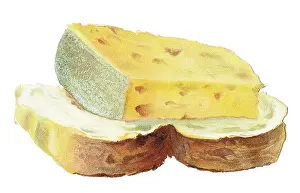 Crusty: Greetings card in the shape of a slice of bread with cheese