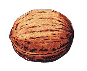 Walnuts: Greetings card in the shape of a walnut