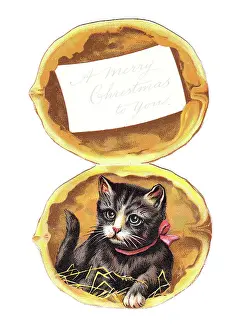 Walnuts: Greetings card in the shape of a walnut