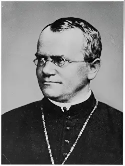 Mendel: Gregor Johann Mendel