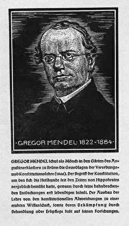 Mendel: Gregor Johann Mendel