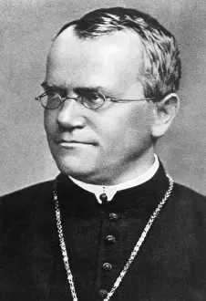 Mendel: Gregor Johann Mendel
