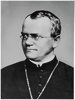 Mendel: Gregor Johann Mendel