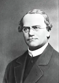 Mendel: Gregor Mendel