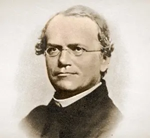 Inheritance: Gregor Mendel, Father of Genetics