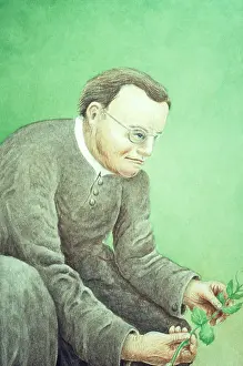 Inheritance: Gregor Mendel, Father of Genetics