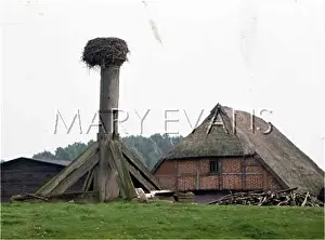 Greifswald: GREIFSWALD/STORK NEST