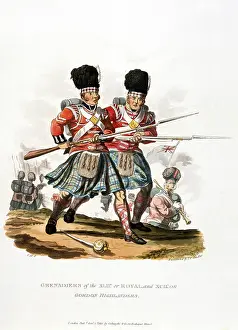The National Army Museum: Grenadiers of the XLIId or Royal and XCIL