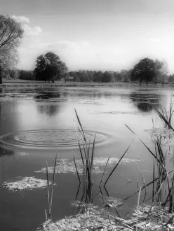 Ripple: GRENDON LAKE