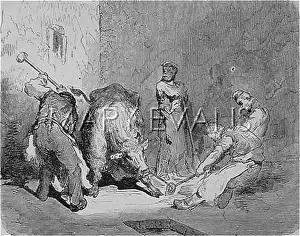 Slaughtering: GRENELLE COW SLAUGHTER