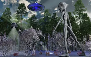 Slim: A Grey Alien researcher exploring woodlands