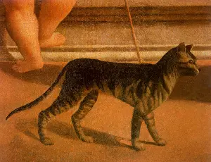 1515: Grey and Black Striped Cat
