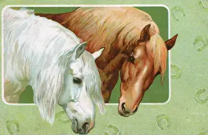 Horsehoe: A Grey and a Chesnut horse