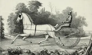 C1850: Grey Eagle: driven by Hiram Woodruff, Esq