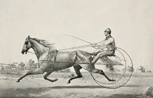 C1855: Grey Eddy