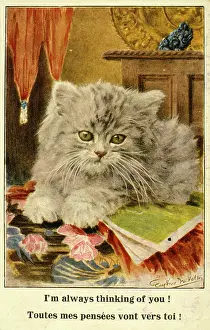 Whiskers: Grey kitten on a greetings card