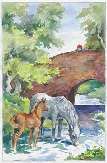 Orton: Grey mare with foal drinking from a stream