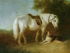 Smythe: Grey pony and dog