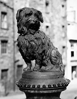 Shortly: GREYFRIARS BOBBY