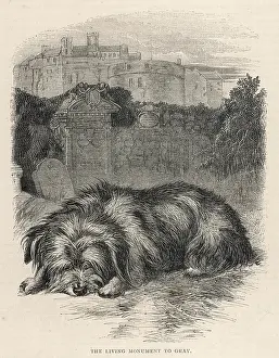 Greyfriars: Greyfriars Bobby, Edinburgh, Scotland