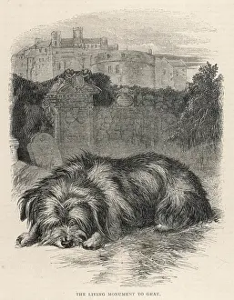 Greyfriars: Greyfriars Bobby, Edinburgh, Scotland