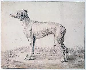Genre: Greyhound Artist: Cornelis Saftleven
