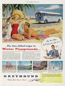 Scarcely: GREYHOUND COACH