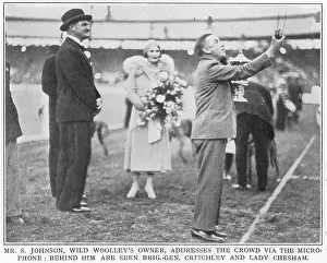 Greyhounds: Greyhound Derby winner Mr Johnson