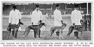 Greyhound: Four Greyhound Derby winners