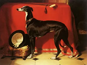 Landseer: The Greyhound Eos, by Landseer