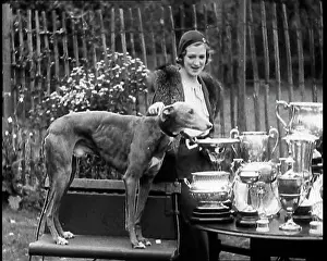 Trophies: The Greyhound Mick the Miller and his Trophies