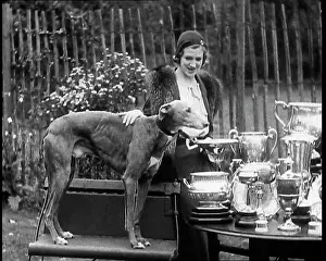Trophies: The Greyhound Mick the Miller and his Trophies